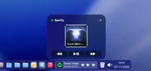 Multimedia controls